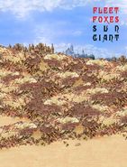 Fleet Foxes, Sun Giant (Cassette)