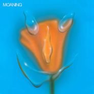 Moaning, Uneasy Laughter (CD)