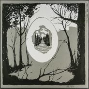 Insect Ark, Portal / Well [Limited Edition] (LP)