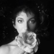 Kate Bush, Remastered In Vinyl II [Box Set] (LP)