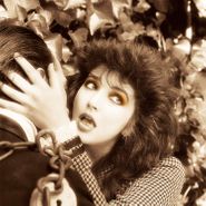 Kate Bush, Remastered In Vinyl I [Box Set] (LP)