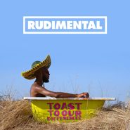 Rudimental, Toast To Our Differences (LP)