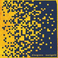 Pinegrove, Marigold (LP)