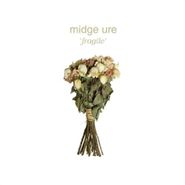 Midge Ure, Fragile (CD)