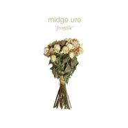 Midge Ure, Fragile (LP)