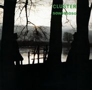 Cluster, Sowiesoso (CD)