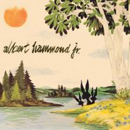 Albert Hammond Jr., Yours To Keep [Record Store Day] (LP)