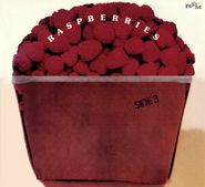 The Raspberries, Side 3 (CD)