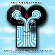 The Chameleons, What Does Anything Mean? Basically [Clear Vinyl] (LP)