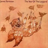 James Yorkston, The Year Of The Leopard (LP)