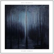 Ilya Beshevli, Night Forest (CD)