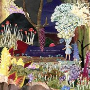 Psychedelic Porn Crumpets, And Now For The Whatchamacallit (LP)