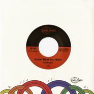 Gloria Jay, Know What You Want / I'm Gonna Make It (7")