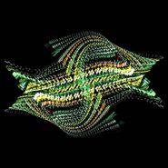 Bogus Order, Zen Brakes Vol. 2 (CD)