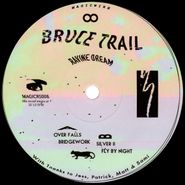 Bruce Trail, Ravine Dream (12")