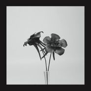 Jlin, Dark Lotus (12")