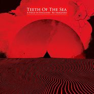 Teeth Of The Sea, A Field In England: Re-Imagined [Record Store Day] (LP)