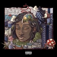 Little Simz, Stillness In Wonderland [Deluxe Edition] (CD)