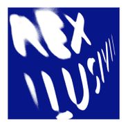 Rex Ilusivii, Selected Works (LP)