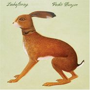 Vashti Bunyan, Lookaftering (CD)