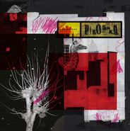 Piroshka, Brickbat (LP)