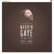 Marvin Gaye, Marvin Gaye 1971-1981 [Box Set] (LP)