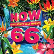 Various Artists, Now That's What I Call Music 66 (CD)
