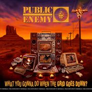 Public Enemy, What You Gonna Do When The Grid Goes Down? (LP)