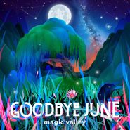 Goodbye June, Magic Valley (CD)
