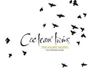 Cocteau Twins, Treasure Hiding: The Fontana Years [Box Set] (CD)