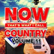 Various Artists, Now That's What I Call Country Vol. 11 (CD)