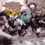 Diamond D, Stunts, Blunts & Hip Hop (LP)