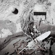 David Sylvian, Secrets Of The Beehive [180 Gram Vinyl] (LP)