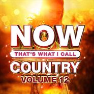 Various Artists, Now That's What I Call Country Vol. 12 (CD)