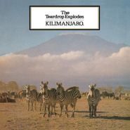 The Teardrop Explodes, Kilimanjaro (LP)