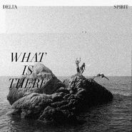 Delta Spirit, What Is There (LP)