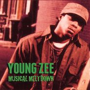Young Zee, Musical Meltdown (CD)