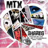 The Mr. T Experience, Shards Vol. 2: Pieces Of The Mr. T Experience 1985-1999 (LP)
