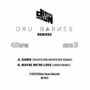 Dru Barnes, Silent Light Remixes (12")