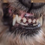 Blanck Mass, World Eater (LP)