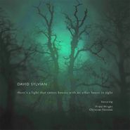 David Sylvian, There's A Light That Enters Houses With No Other House In Sight (CD)