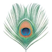 XTC, Apple Venus Vol. 1 [200 Gram Vinyl] (LP)