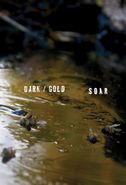 SOAR, Dark / Gold (Cassette)