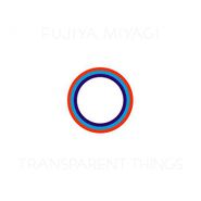Fujiya & Miyagi, Transparent Things (LP)