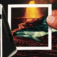 The Thermals, We Disappear (LP)