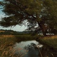 S. Carey, Hundred Acres [Green Vinyl] (LP)