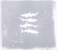 My Brightest Diamond, Shark Remixes (CD)