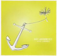 Liz Janes, Say Goodbye (CD)