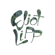 Eliot Lipp, Come To Life (LP)
