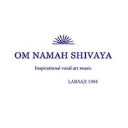 Laraaji, Om Namah Shivaya (LP)